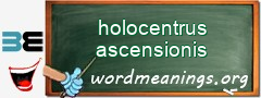 WordMeaning blackboard for holocentrus ascensionis